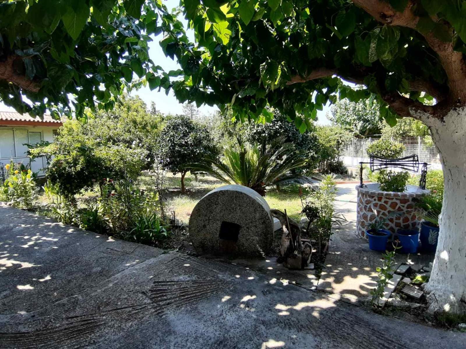 Glyfada'S Family Apartment Glyfada  Buitenkant foto